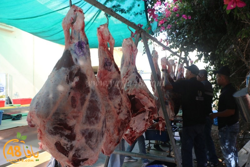 lod8om ada73y (81).JPG